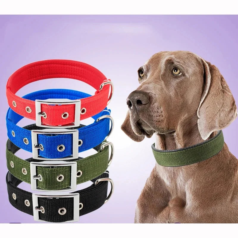 Adjustable Nylon Dog Collar for Small, Medium & Large Dogs