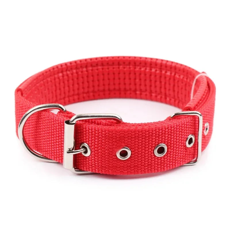 Adjustable Nylon Dog Collar for Small, Medium & Large Dogs