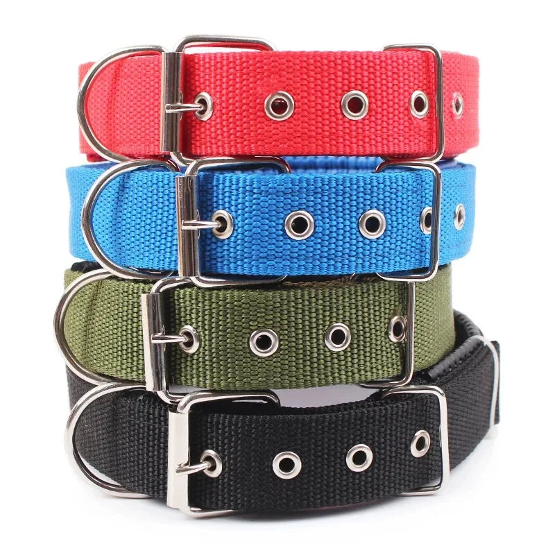 Adjustable Nylon Dog Collar for Small, Medium & Large Dogs