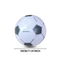 Inflatable Sports Ball – PVC Pool & Beach Toy