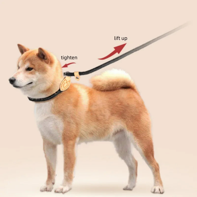 Dog Slip Lead Leash – Adjustable Braided Rope for Small Dogs