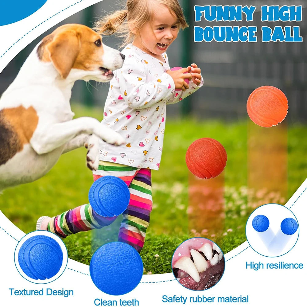 Rubber Dog Toy Ball – Chew-Resistant Pet Training Ball