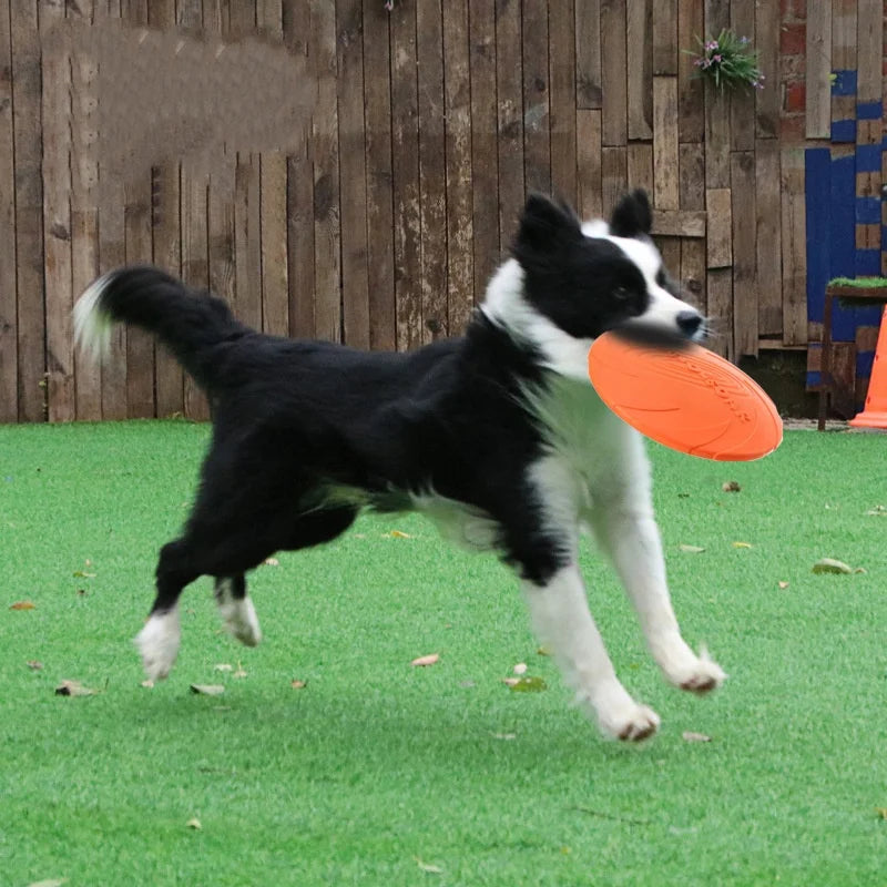 Silicone Flying Disc Pet Toy – Interactive Dog and Cat Frisbee