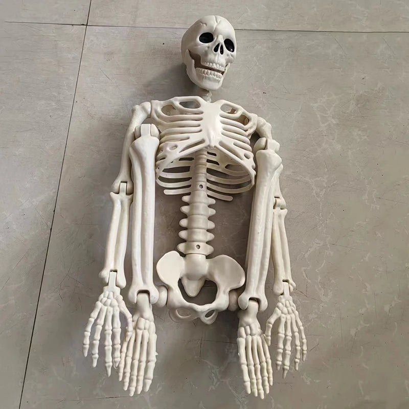 Movable Skeleton Decoration – Halloween Skull & Bones Prop