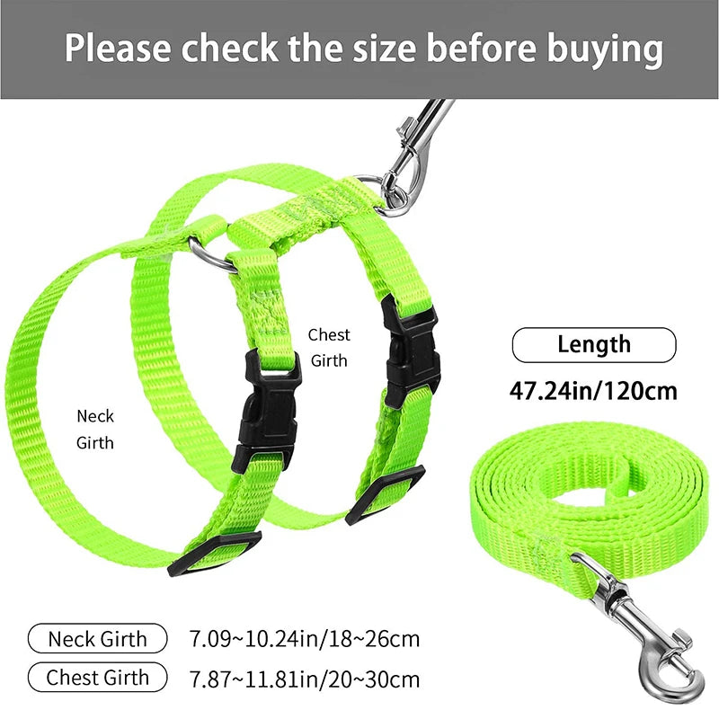 Cat Harness and Leash Set – Adjustable Nylon Walking Gear