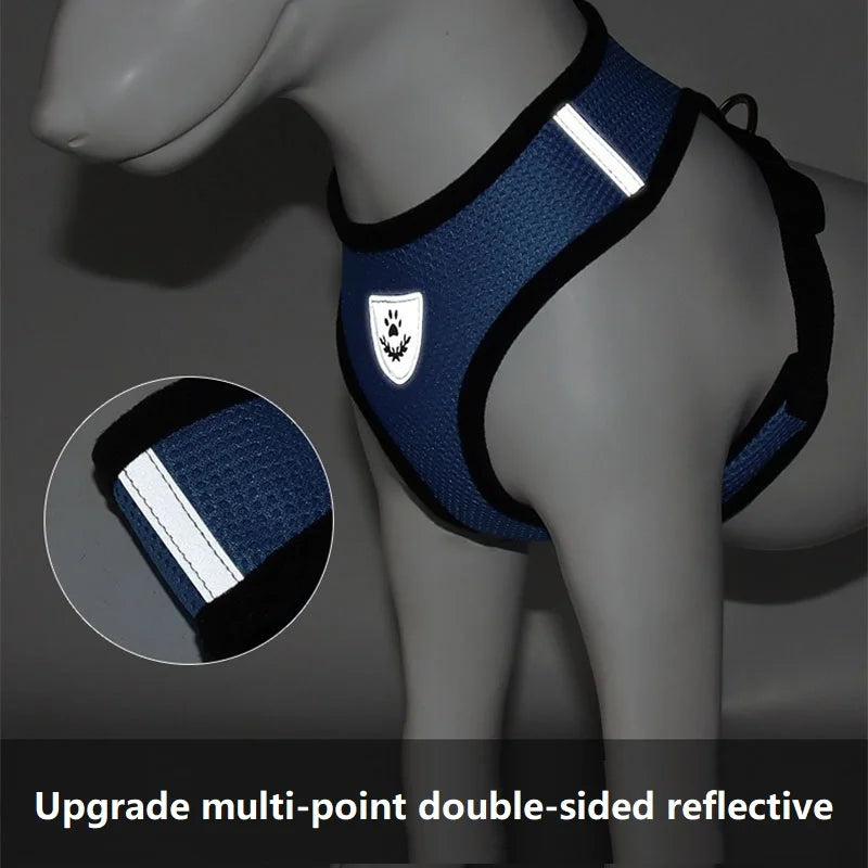 Cat Harness and Leash Set – Escape-Resistant Reflective Vest