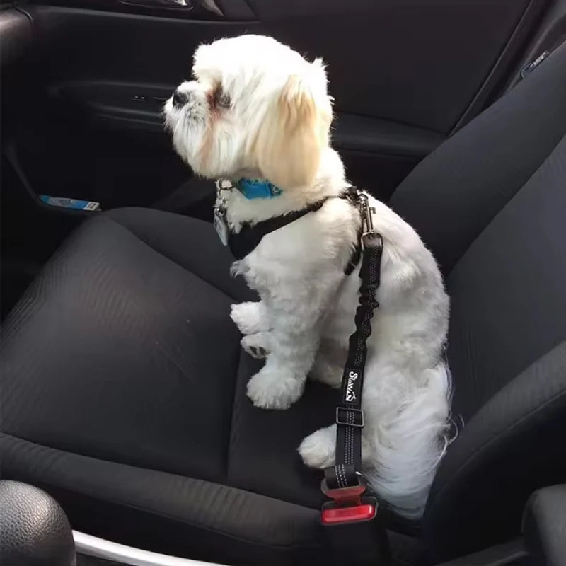 Adjustable Dog Car Seat Belt with Shock-Absorbing Leash