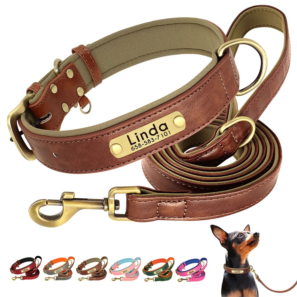 Personalized Leather Dog Collar – Engraved Nameplate & Leash Set