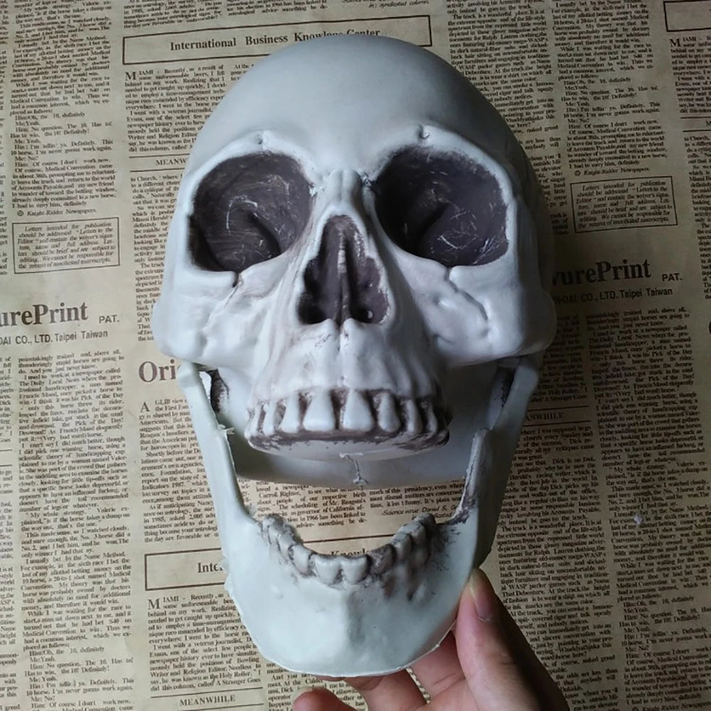 Halloween Skull Decoration – Realistic Skeleton Head Prop