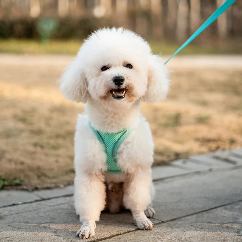 Reflective Dog Vest Harness – Adjustable Breathable Mesh