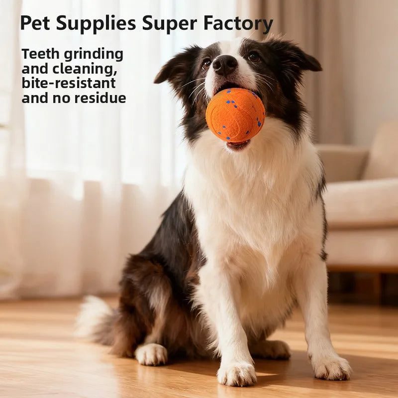 Rechargeable Interactive Pet Ball Toy for Dogs and Cats