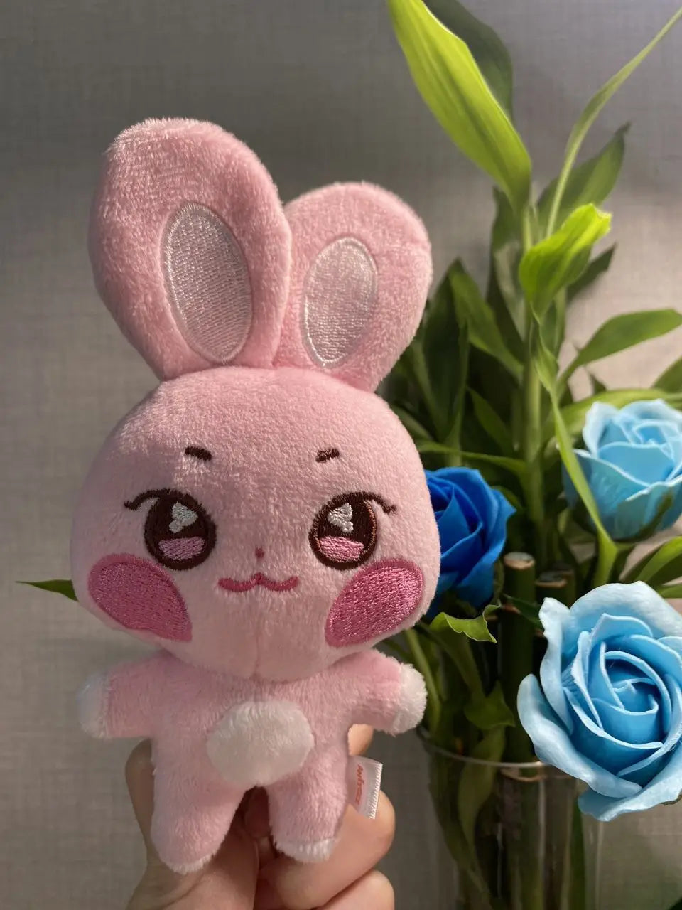 K-Pop Character Plush Toy, Cute Short Plush Stuffed Animal