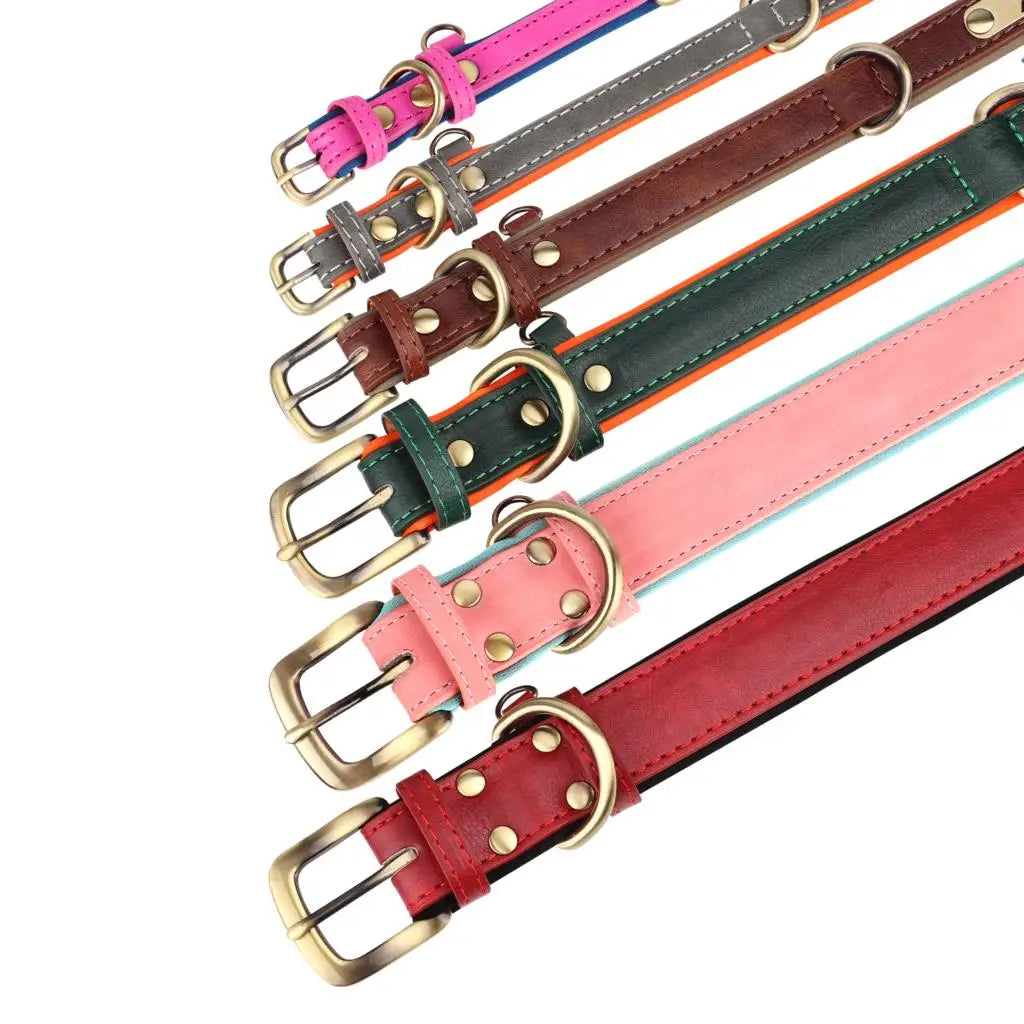 Personalized Leather Dog Collar – Engraved Nameplate & Leash Set