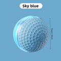 Rechargeable Interactive Pet Ball Toy for Dogs and Cats