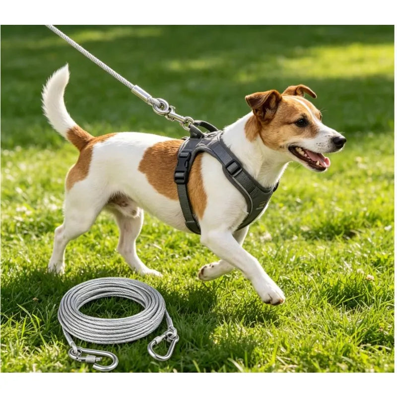 Double-Headed Dog Tie out Cable Leash Anti-Rust Steel Wire with Metal Buckle Durable Outdoor Training Collar Traction Rope Strap
