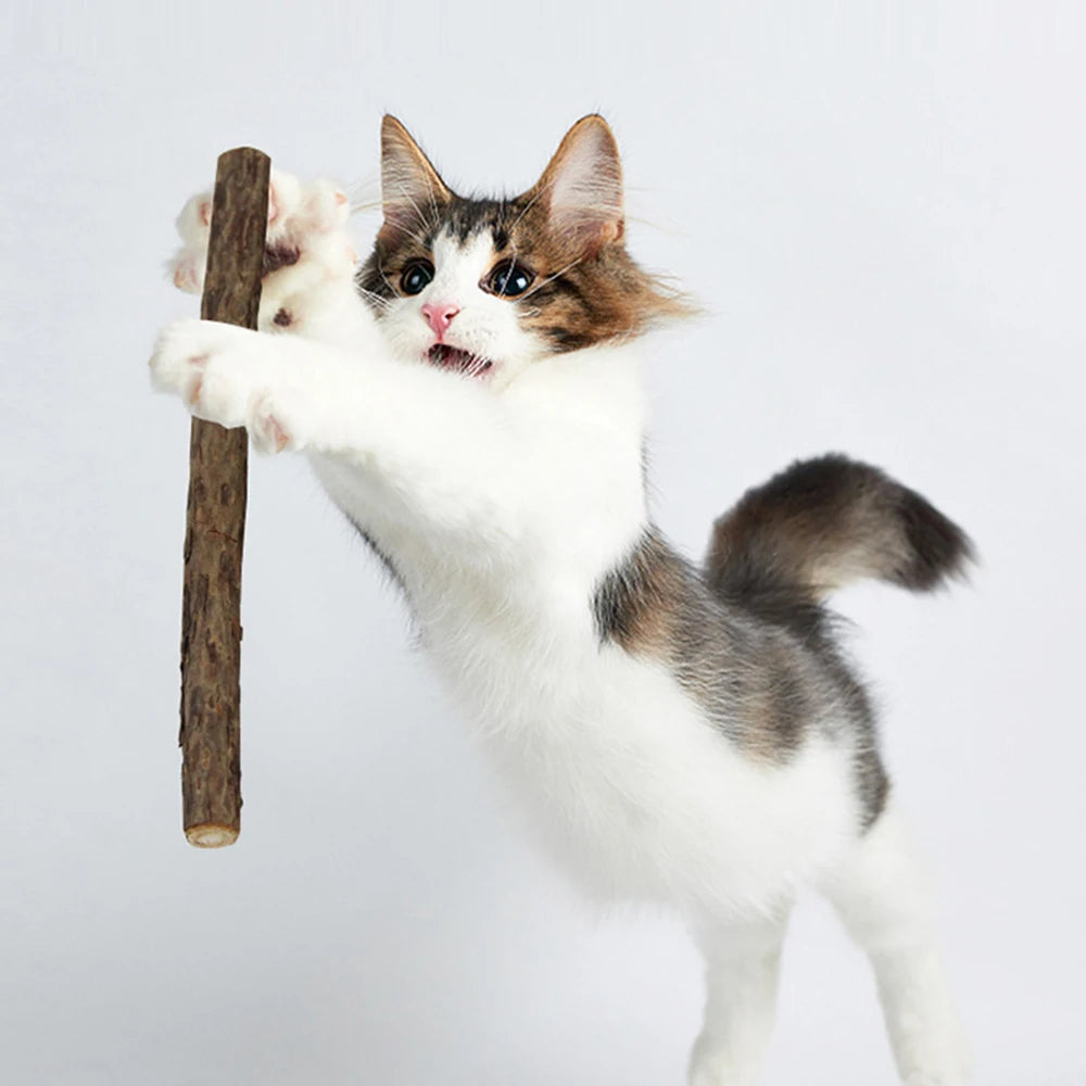15pcs/30pcs Natural Matatabi Cat Catnip Toy Kitten Molar Chew Stick Pet Cleaning Teeth Cat Treat Toy Actinidia Silvervine