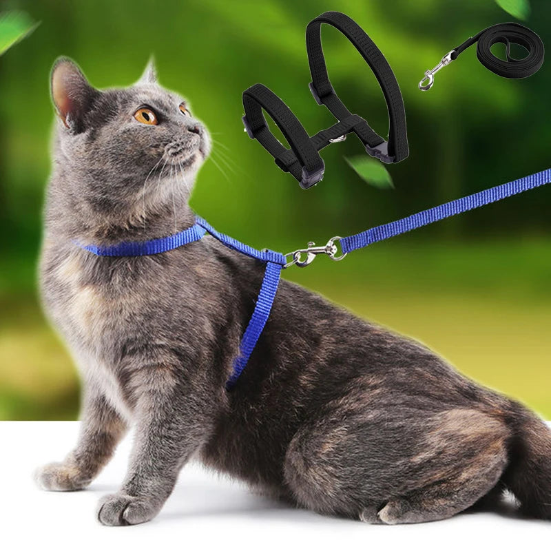 Cat Harness and Leash Set – Adjustable Nylon Walking Gear