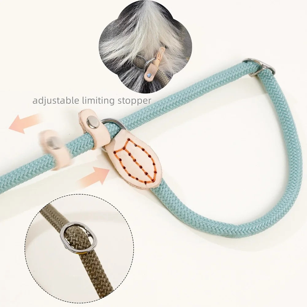 Dog Slip Lead Leash – Braided Rope Training Lead