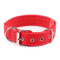 Adjustable Nylon Dog Collar for Small, Medium & Large Dogs