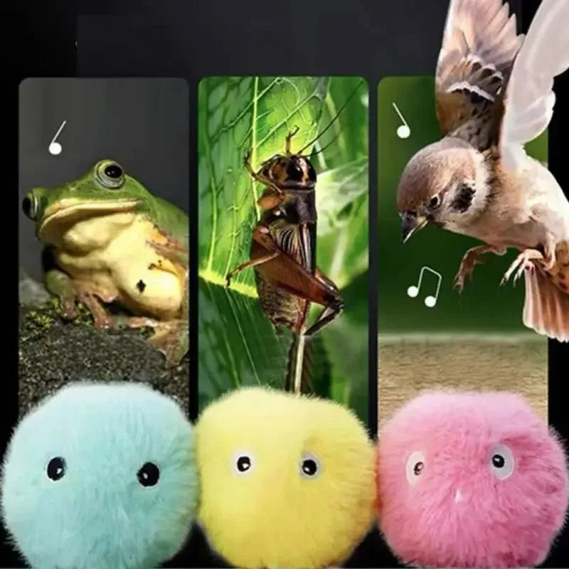 Sound Cat Toy Balls – Chirping Bird & Frog Toys
