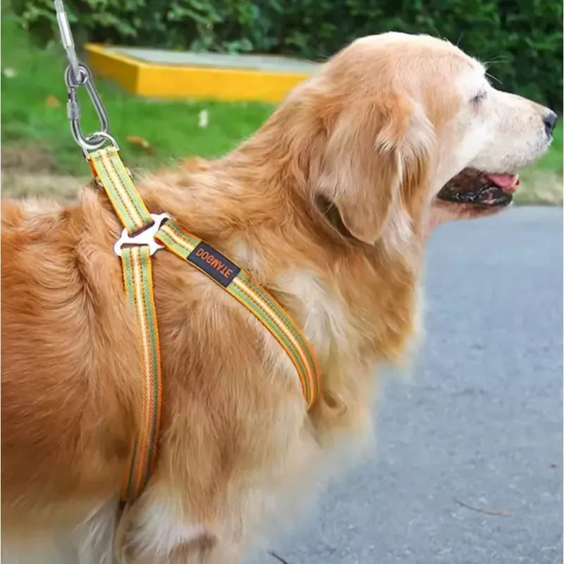 Double-Headed Dog Tie out Cable Leash Anti-Rust Steel Wire with Metal Buckle Durable Outdoor Training Collar Traction Rope Strap