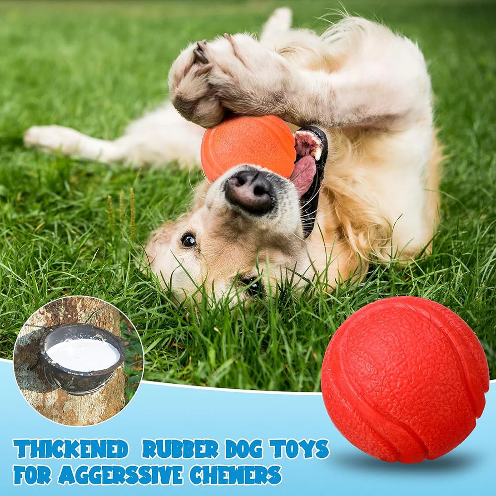 Rubber Dog Toy Ball – Chew-Resistant Pet Training Ball