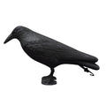 Fake Crow Bird Deterrent for Garden, Balcony & Patio