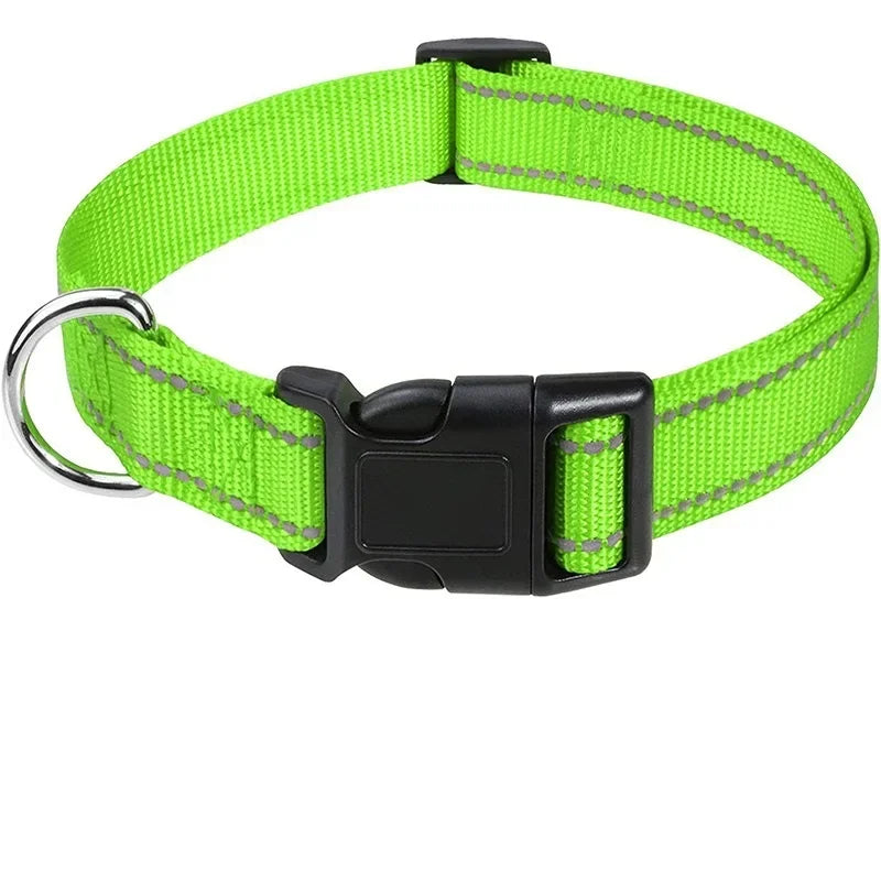 Reflective Dog Collar – Adjustable Nylon Safety Strap