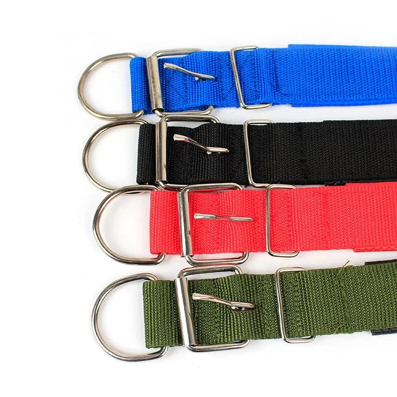 Adjustable Nylon Dog Collar for Small, Medium & Large Dogs