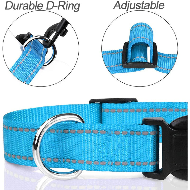 Nylon Dog Collar with Buckle – Adjustable Puppy Neck Collar