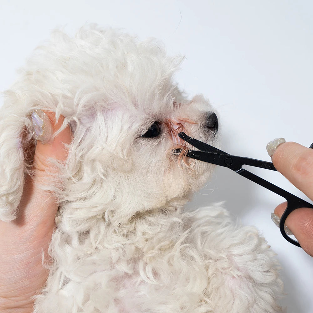 Pet Tear Stain Removal Comb Set, Dog & Cat Eye & Paw Cleaning Grooming Scissors, Pet Hair Care Supplies