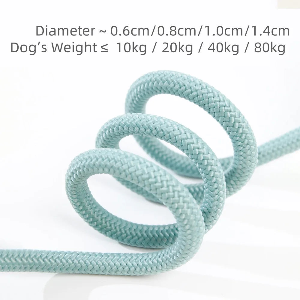Dog Slip Lead Leash – Braided Rope Training Lead