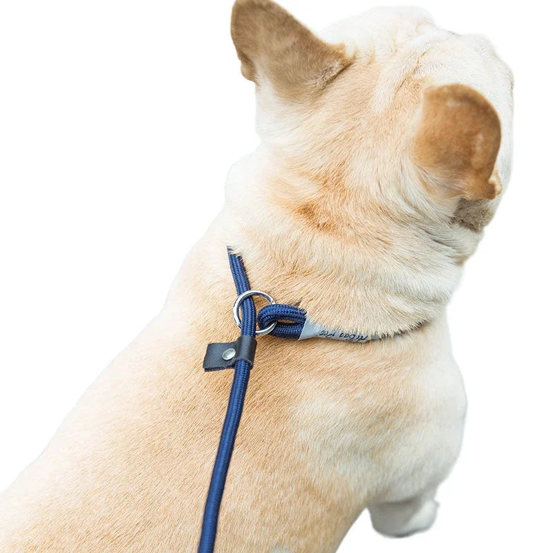 Dog Leash Slip Rope Lead Leash Heavy Duty Braided Rope Adjustable Loop Collar Training Leashes for Small Medium Dogs