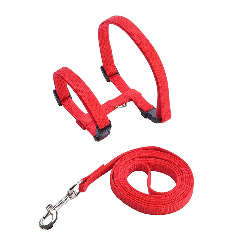 Cat Harness and Leash Set – Adjustable Nylon Walking Gear