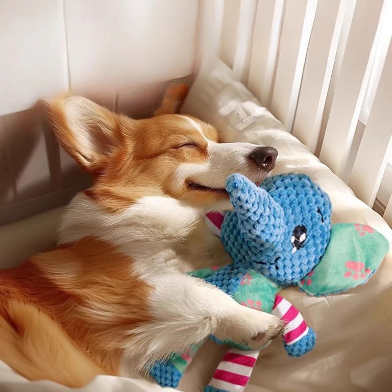 Plush Squeaky Dog Toy – Cute Animal Chew Toy