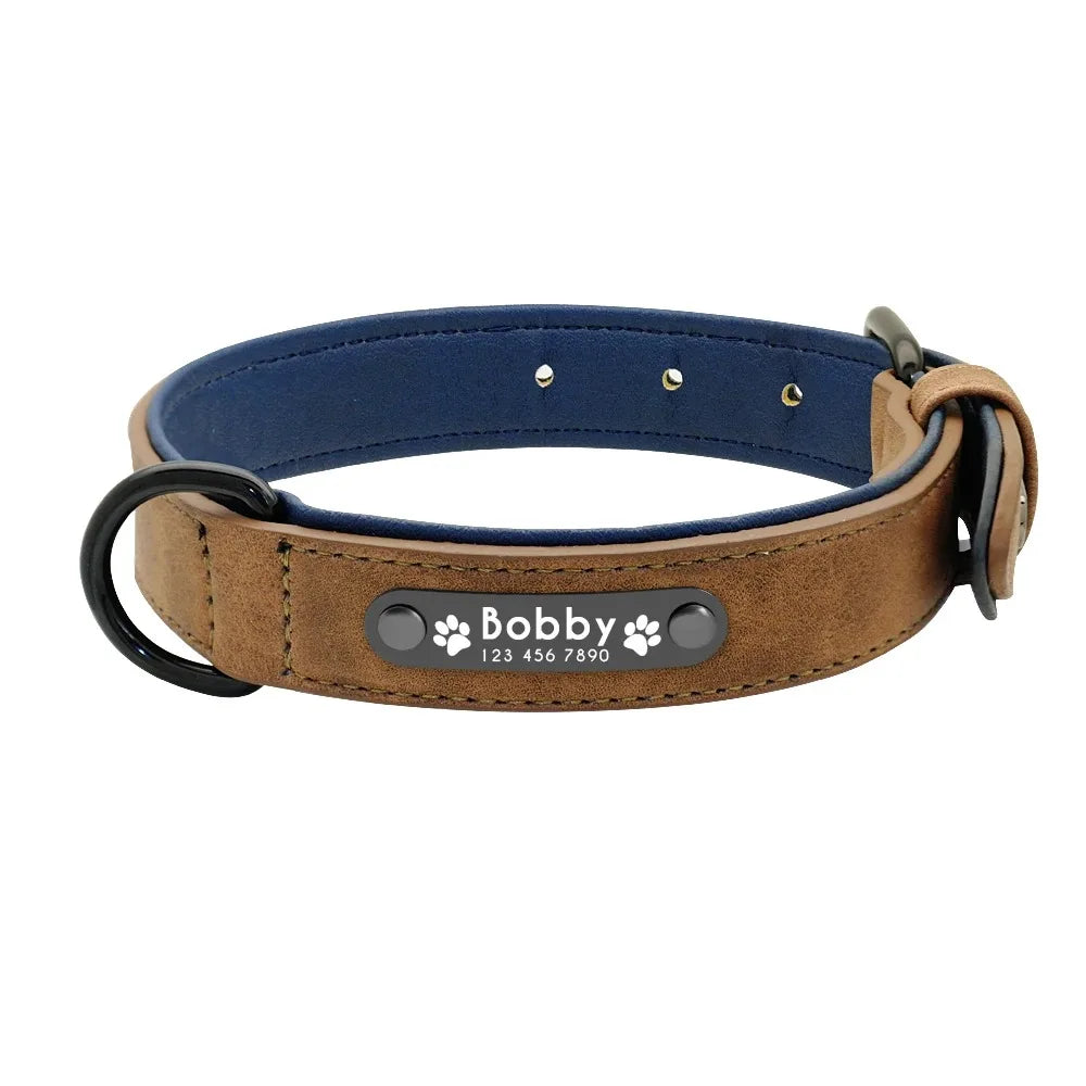 Personalized Leather Dog Collar with Custom Name and Phone Number