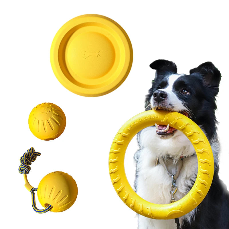EVA Dog Toy Set – 4-Pack with Ball, Flying Disc and Tug Rope
