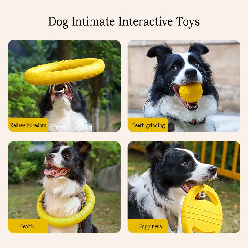 EVA Dog Toy Set – 4-Pack with Ball, Flying Disc and Tug Rope