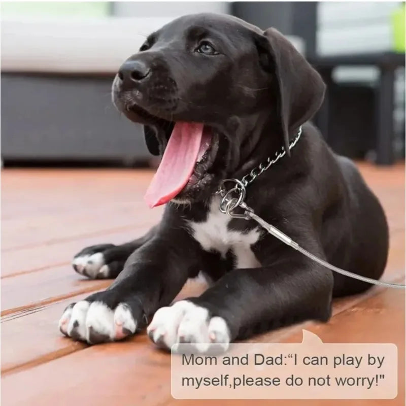 Double-Headed Dog Tie out Cable Leash Anti-Rust Steel Wire with Metal Buckle Durable Outdoor Training Collar Traction Rope Strap