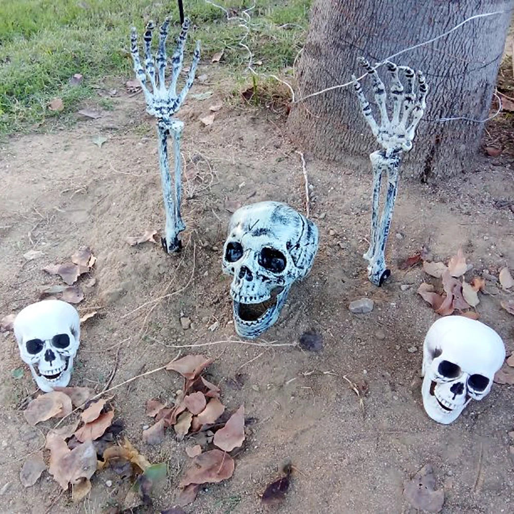 Halloween Skull Decoration – Realistic Skeleton Head Prop
