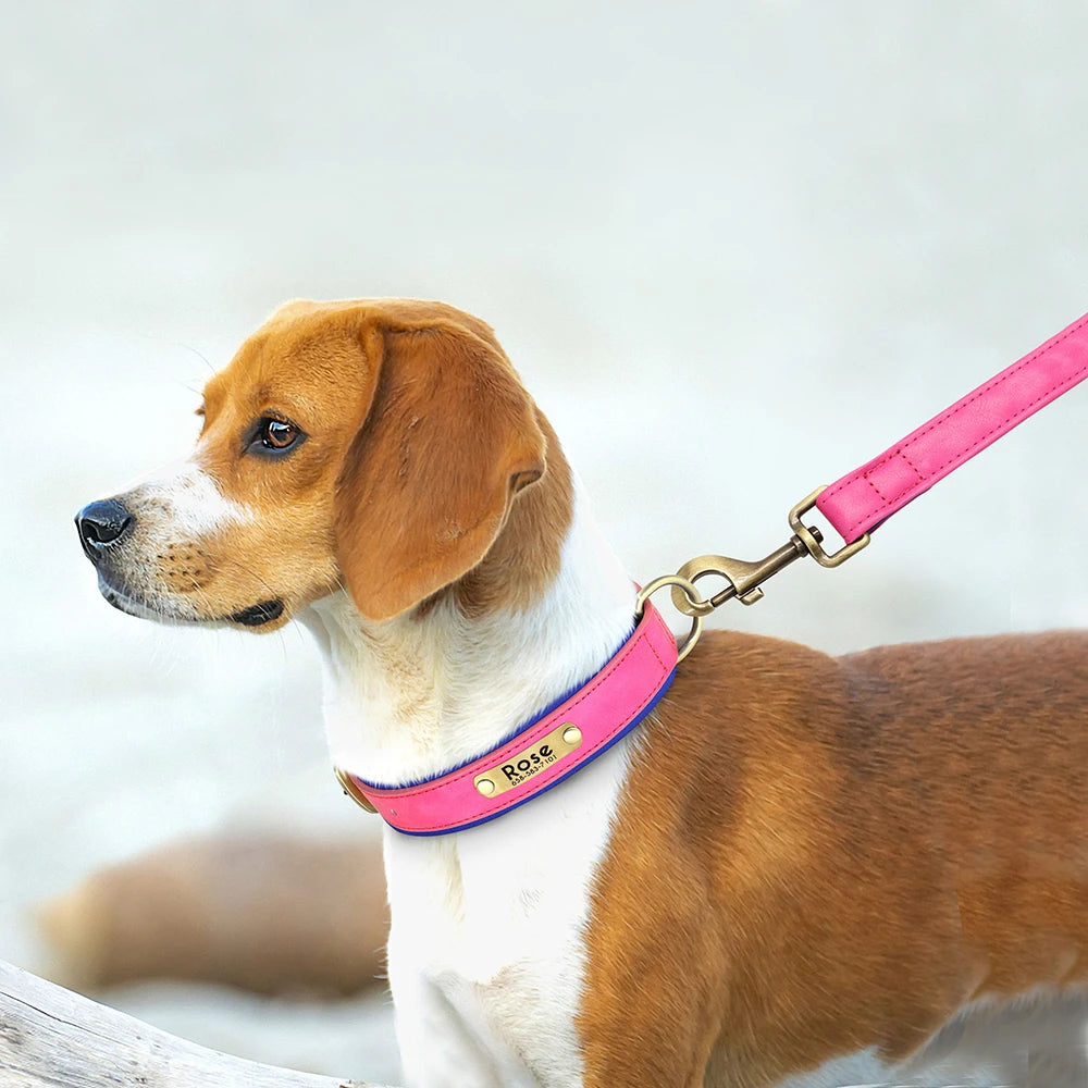 Personalized Leather Dog Collar – Engraved Nameplate & Leash Set