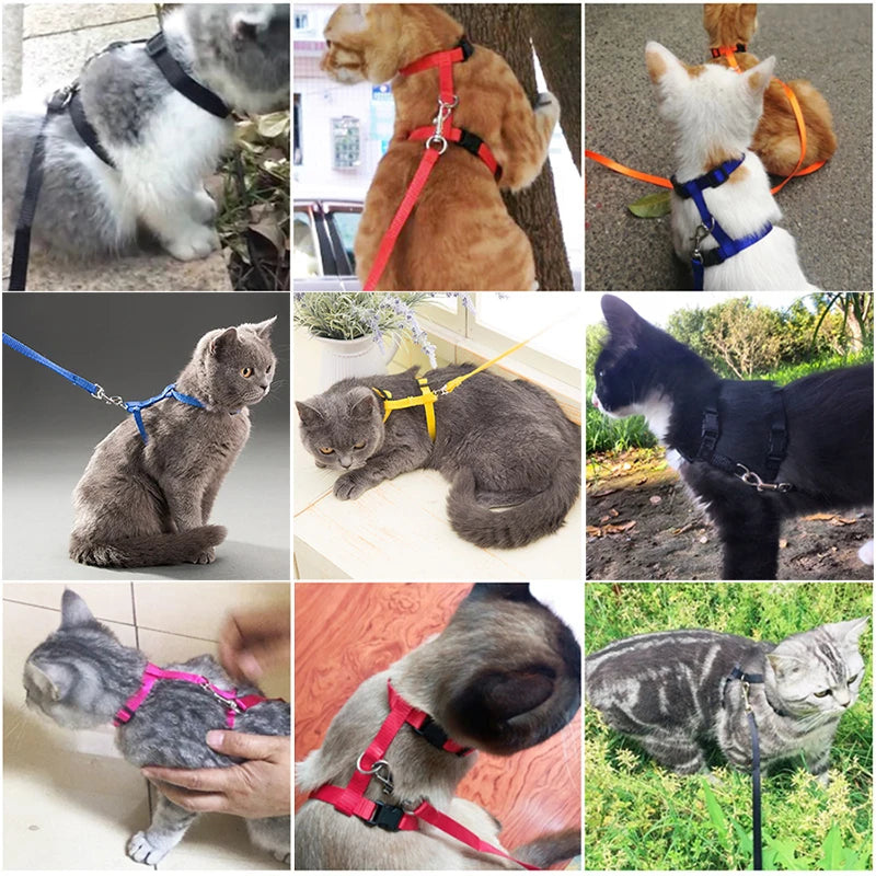 Cat Harness and Leash Set – Adjustable Nylon Walking Gear